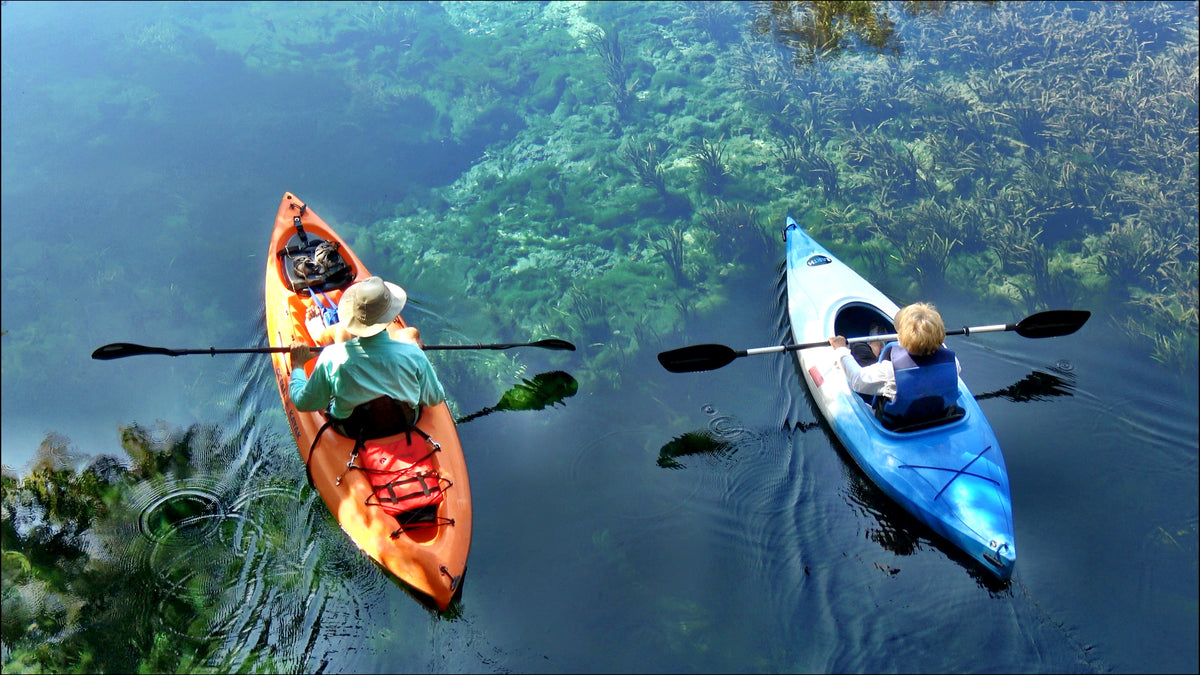 Enclosed Waterways Paddle Safety Day Saturday 9th Jan 2027