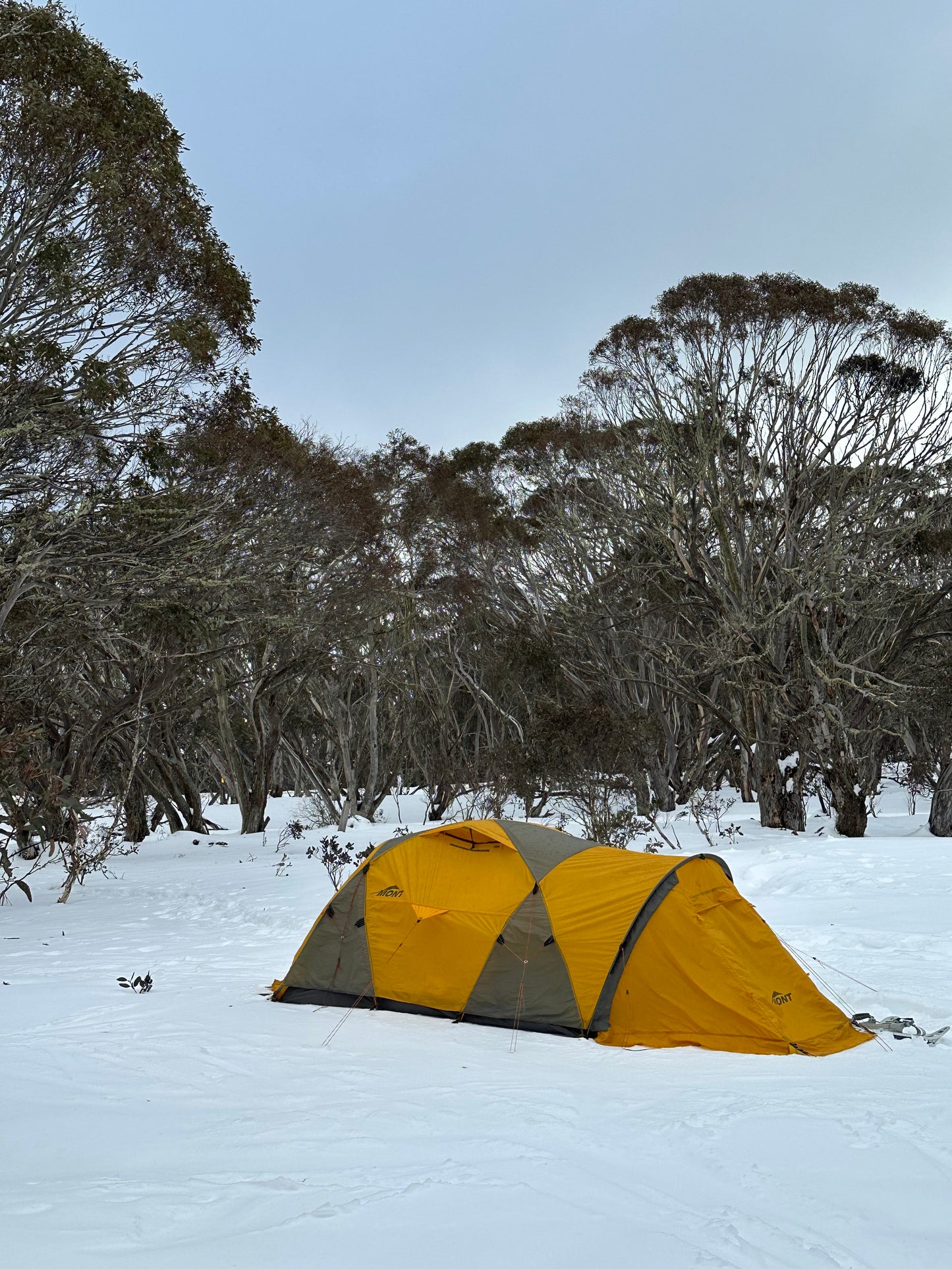 Get Home Alive 21st / 22nd Feb 2026