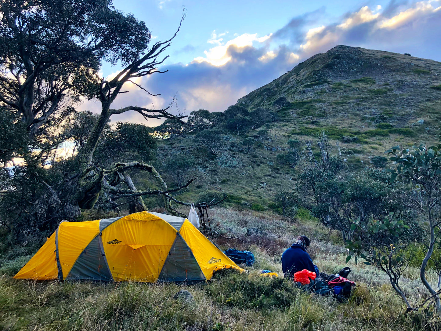 Get Home Alive 21st / 22nd Feb 2026