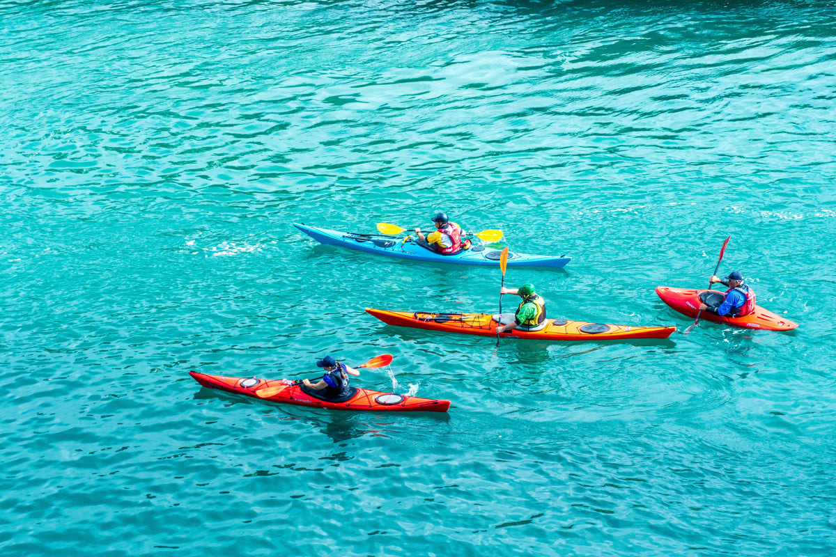 Enclosed Waterways Paddle Safety Day Saturday 9th Jan 2027